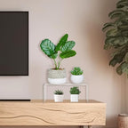 RattanView 3 Pcs Extra Large 12,11,10.25 Inch Acrylic Display Risers Clear Acrylic Shelf Riser Display Stands 5 mm Thick Rectangular for Collectibles Figures - size: 12, 11, 10.25 Inch