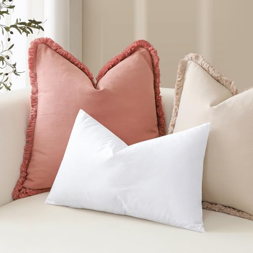 Artscope Synthetic Down Lumbar Pillow Insert, 20x26 Down Alternative Throw Pillow Insert. Ultra Soft Fluffy Sleeping Pillow with 100% Cotton Cover, Decorative Pillows-White. - size: 20x26 Inch (Pack of 1)