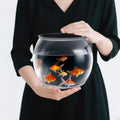 Geelin 1 Gallon Plastic Fish Tank Large Bowl Shatterproof with Crystal Clear Clarity for Terrarium, Flower Vase Centerpiece Gift for Fish Lovers (Round) - size: 1 Gallon, style: Round