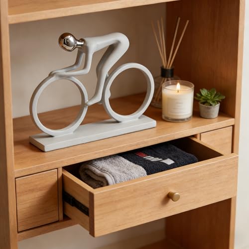 AWNR Handmade Gold Abstract Statue- Exquisite Resin Figurine for Modern Home Decor Living Room Shelf Office Decorations, Perfect for Bookshelf, Desk, and TV Stand Accents. (White Cyclist) - color: White Cyclist