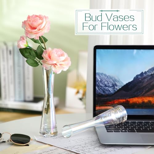 Lallisa 6 Pcs Glass Bud Vases for Centerpieces Maria Modern Clear Small Skinny Decorative Single Flower Bud Vase for Wedding Party Event Home Office Decoration(7.87 Inch,Iridescent) - color: Iridescent, size: 7.87 Inch