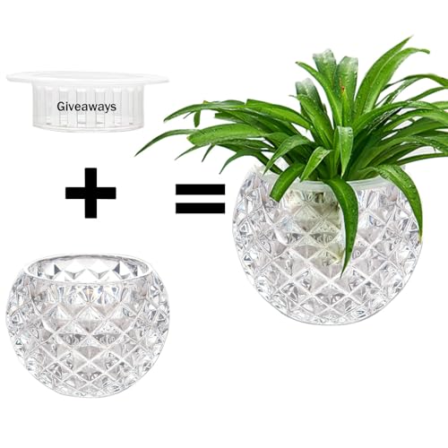 Glass Flowerpot, Planters,Vase, Hydroponic Flowerpot, Candy Bowl, Candlestick,Key Bowl,Decorative Bowls(B) - style: b