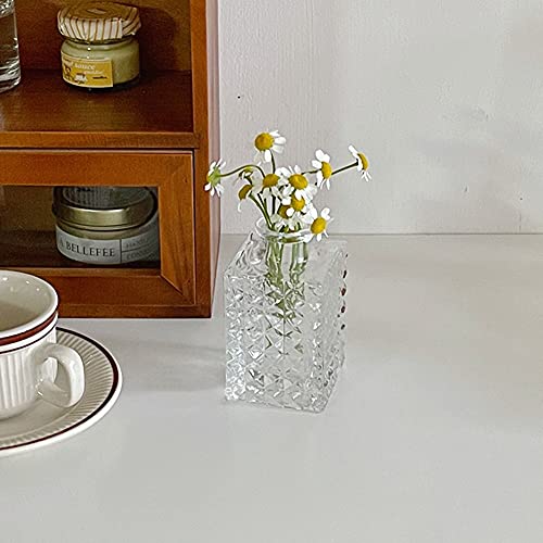 Mini Clear Glass Vase,Small Flower Bud Vase Hydroponics Planter Decorative for Flower,Table,Party,Home,Centerpieces(Clear 8) - color: Clear 8