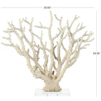 Deco 79 Polystone Coral Decorative Sculpture Home Decor Statue with Clear Acrylic Base, Accent Figurine 26" x 8" x 23", Cream - size: 26" x 8" x 23"