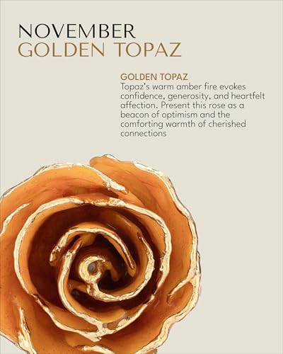 Forever Rose Hand-Dipped in 24K Gold, Golden Topaz-Inspired November Birthstone with Sparkles, Real Rose in Gold Gift Box & Clear Glass Bud Vase, Perfect Ready for November Birthday or Any Occasion - color: November Topaz