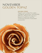 Forever Rose Hand-Dipped in 24K Gold, Golden Topaz-Inspired November Birthstone with Sparkles, Real Rose in Gold Gift Box & Clear Glass Bud Vase, Perfect Ready for November Birthday or Any Occasion - color: November Topaz