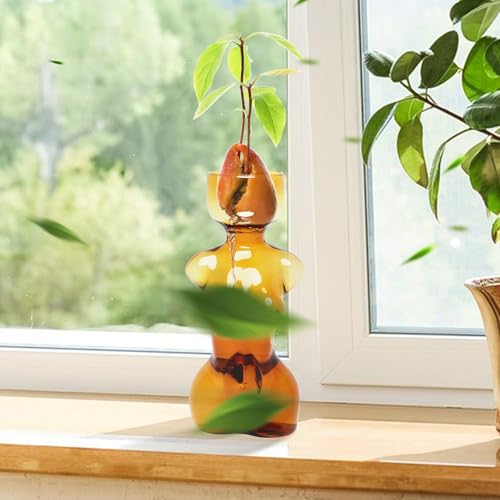 Propagation Vases for Plants Plant Propagation Jars Unique Body Avocado Vase Glass Planter Perfect for Seed Starting Water Rooting and Home Decor Gift for Father - color: Amber