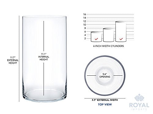 Royal Imports Flower Glass Vase Decorative Centerpiece for Home or Wedding - Cylinder Shape, 12" Tall, 6" Opening, Clear - size: 6" wide x 12" tall