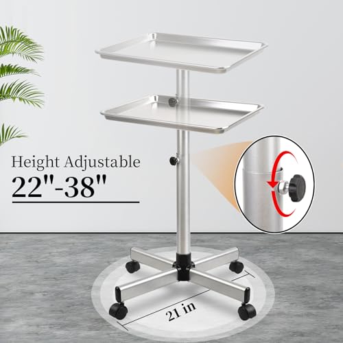 Salon Tray on Wheels, Rolling Tattoo Tray, Adjustable Hair Stylist Tray, Metal Mayo Stand Tray, Salon Color Tray Use As Medical Tray, No-Rusting - color: Silver