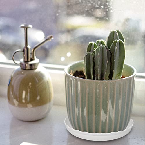 Plant Saucer, 7 Pack 8 10 12 14 15 Inch Durable Plastic Plant Trays for Pots, White & Black Round Plant Pot Saucers, Drip Tray for Indoor and Outdoor Garden (10", for 7 8 Inch Pot) - color: Black & White (10" x 7)