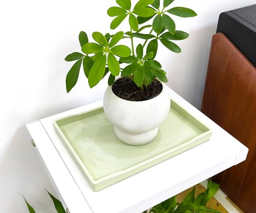 Small Green Mini Serving Tray (8.5 x 6.3 inch) for Serving Accessory, Spa, Coffee, Drinks, Wine, Tea, Bar, Party, Seasoning, Perfume or Display Use. - color: Green-1 Tray, size: 8.5" x 6.3" x 0.8"