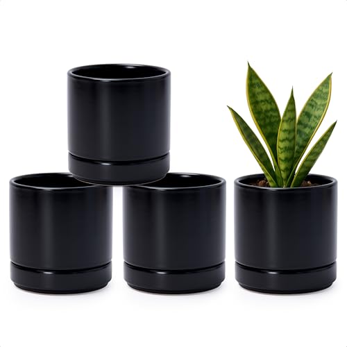 D'vine Dev Set of 4 Small Ceramic Plant Pots, 4.7 Inch Succulent Planter Pot for Plants with Drainage Hole and Saucer, Black, 94-X-B-2 - color: Black, size: 4.7 Inch
