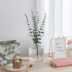 5’ Wide 8" High Large Hand Blown Sturdy Clear Cylinder Glass Vase, Centerpiece Flower Vase for Rose, Tulip, Boquets, Hurricane Candle Holder (1, 5"x8") - size: 5"x8"
