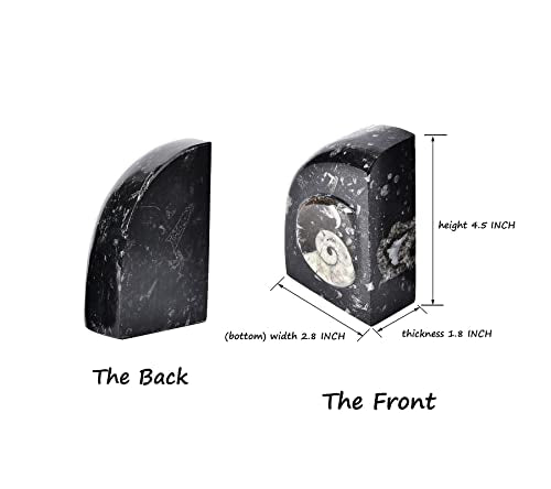 AMOYSTONE Rock Bookends Weight Morocco Orthoceras Fossil Bookends 4-5 LBS for Home Office Books with Rubber Bumpers (1 Pair Height 4.7") - color: Black & White D, size: 4-5 Lbs