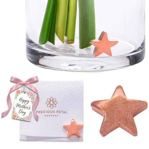 Flower Food Alternative for Fresh Cut Flowers. Copper Charm Keeps Flower Water Clean and Clear. Just Place It in the Vase, Reusable STAR (1) - color: Star, size: Pack of 1