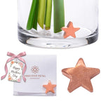 Flower Food Alternative for Fresh Cut Flowers. Copper Charm Keeps Flower Water Clean and Clear. Just Place It in the Vase, Reusable STAR (1) - color: Star, size: Pack of 1