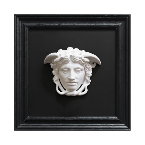 FOLKOR LIFE Medusa Wall Sculpture, 3D Medusa Relief Black and White Wall Art, Classical Greek Goddess Wall Hanging Sculpture for Living Room, Bedroom, Gothic or Modern Home Decor - color: Head of Medusa