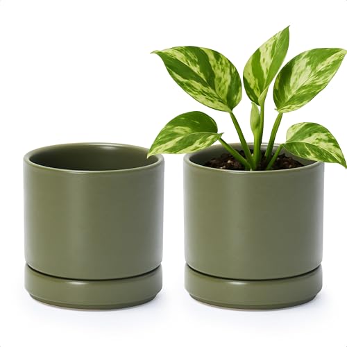 D'vine Dev Set of 2 Plants Pots, 4.7 Inch Ceramic Planter Pot for Plants with Drainage Hole and Saucer, Olive, 94-V-B-J - color: Olive, size: 4.7 Inch