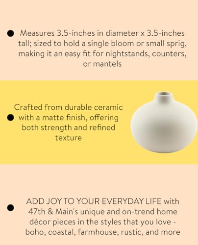 47th & Main Ceramic Vases for Flowers Modern Minimalist Small Vase for Home Décor, 3.5" Diameter x 3" Tall, Matte White - color: Matte White