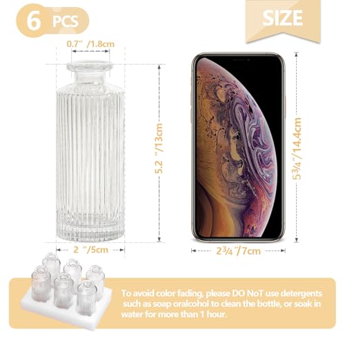 6PCS Mini Bud Vases As Vertical Wedding Centerpieces for Tables,Clear Bud Vases for Flowers,Small Flower Vases Suitable for Birthday Party,Anniversary,Wedding,Baby Shower (Clear-5.2in) - size: 6PCS