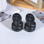 Nupuyai Hand Carved Coiled Snake Statue for Home Decor, Natural Black Obsidian Crystal Figurine Stone Sculpture Decoration for Fengshui - style: Coiled Snake