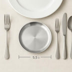 Stainless Steel Plates Set of 2 Metal Dishes Dinner Tray 5.5 Inch for Snack,Nut, candy,Camping Plate, Shatterproof Dishwasher Safe - size: Silver 5.5 Inch