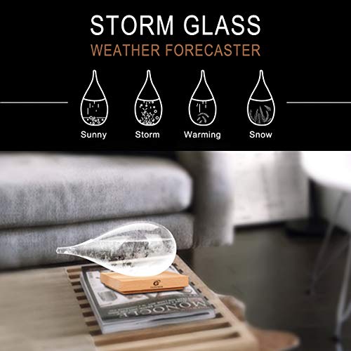 Storm Glass Weather Predictor Snow Globes for Adults Galileo Thermometer Indoor Creative Forecast Nordic Style Decorative - size: XL