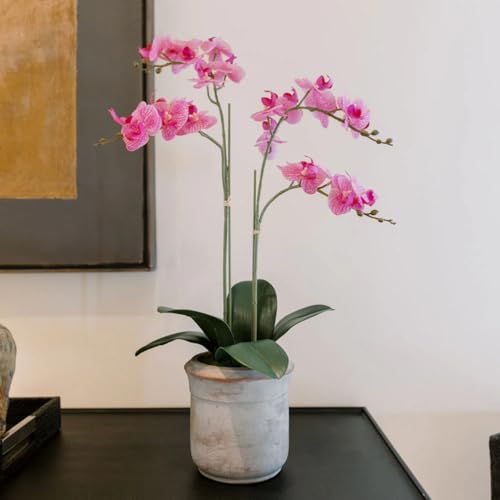 CG Hunter Faux Pink Orchid Plant, Premium Artificial Indoor Flower Display Stands 24”, Beautiful Sculptural Blooms That Lasts Forever, Grey Planter Pot Included - size: 24" Pink 2-Stem Orchid