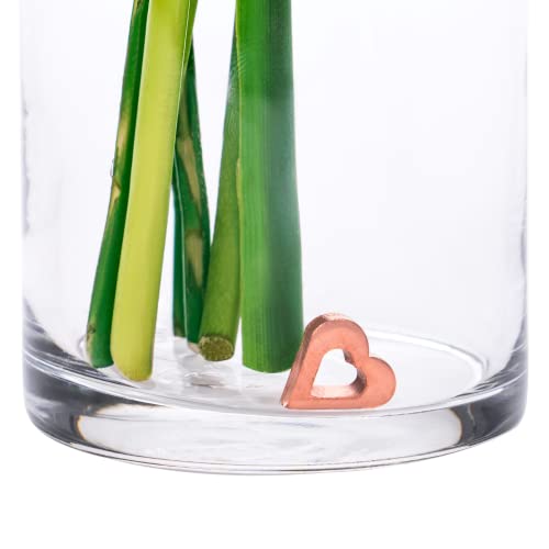 Flower Food Alternative for Fresh Cut Flowers | Copper Charm Keeps Flower Water Clean and Clear | Just Place It in The Vase, Reusable (2 Pack) - color: Heart, size: Pack of 2