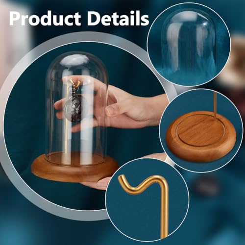 PH PandaHall Pocket Watch Glass Display Dome Cloche with Hook 5.7"x7.6" Watch Display Jar Clear Glass Dome with Wood Base Plant Watch Ornament for Watch Plants Medals Display Collectibles - size: 5.7x7.6 Inch