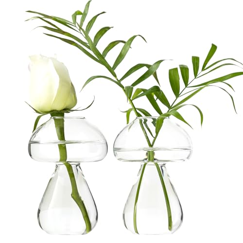 Mushroom Glass Planter, Plant Propagation Station, Cute Mushroom Vase, Clear Glass Terrarium Jar Propagation Vase for Indoor Plants Home Decor, Gifts for Plant Lovers (2)