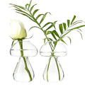 Mushroom Glass Planter, Plant Propagation Station, Cute Mushroom Vase, Clear Glass Terrarium Jar Propagation Vase for Indoor Plants Home Decor, Gifts for Plant Lovers (2)