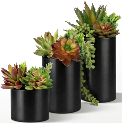 Fake Succulents Plants Artificial in Premium Ceramic Pots (3 Pack Assorted) Realistic Faux Succulents for Bathroom, Home & Office Décor - style: 3 Pack Assorted