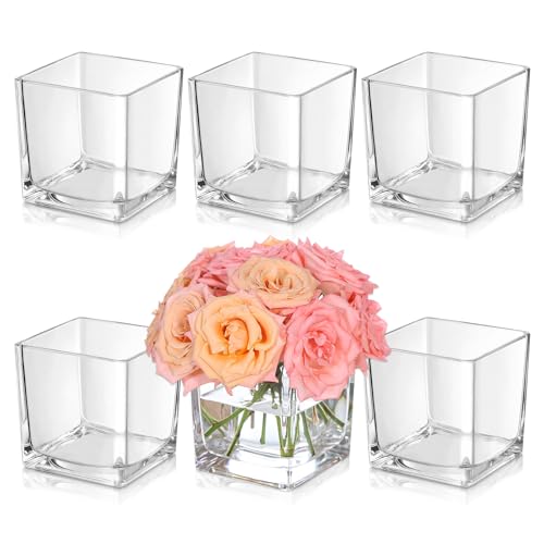 KEYWING 6 Pack Square Glass Vase 4" x 4" x 4", Clear Flower Vases for Centerpieces, Square Glass Cube Vase Candle Holder for Wedding, Party, Home Office Decoration - size: 4 Inch