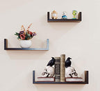 Evil Omen Raven On Skull Perch Decorative Bookend Set