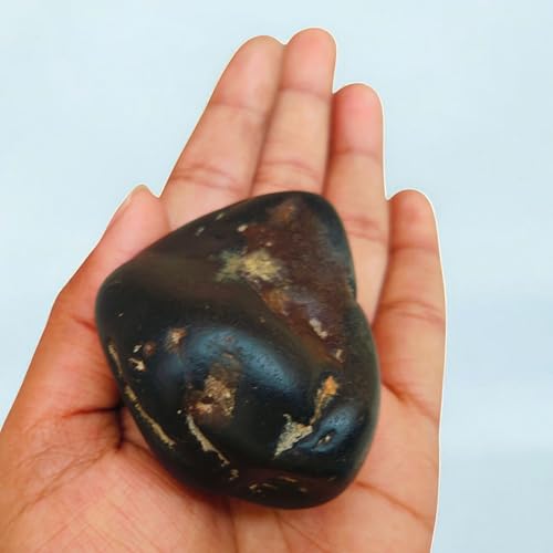 Rare Lakshmi Narayan Shaligram Shila Stone 2" inch from Gandaki River Nepal – 1 Pc Black Shaligram Ji for Pooja, Hindu Rituals, Spiritual Decor & Religious Gifts