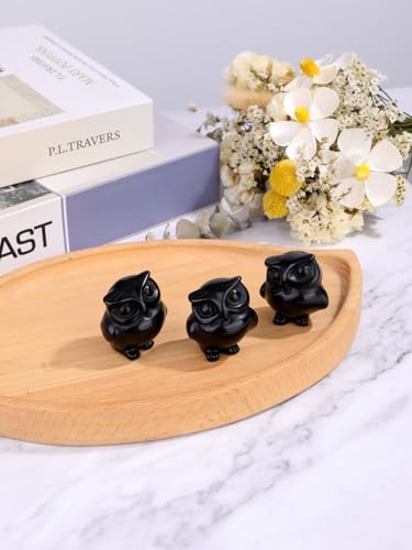 Jovivi Crystal Owl Decor Black Obsidian Healing Stone Crystal Pocket Owls Figurine Statue Hand Carved Polished Natural Gemstone Sculpture Home Office Desk Meditation Gift - color: Black Obsidian
