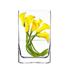 CYS EXCEL Glass Book Vase (H:12" Open:7"x2") Round Edge Oval Flower Vase Rectangular Wedding Centerpiece - size: H-12" Open-7"x2"