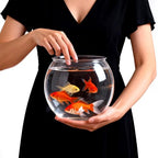 Geelin 0.8 Gallon Plastic Fish Tank Large Bowl Shatterproof with Crystal Clear Clarity for Terrarium, Flower Vase Centerpiece Gift for Fish Lovers (Round) - size: 0.8 Gallon, style: Round