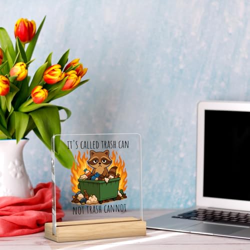 Dumpster Fire Desk Accessories Funny Office Decor Funny Office Gifts Motivational Desk Decor Acrylic Raccoon Humor Gifts for Women Men Friend Coworker - color: It's Called Trash Can Not Trash Cannot