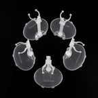 E-TING Transparent Dolls Holder Stand Support for 9inches-12inches Dolls - Pack of 10