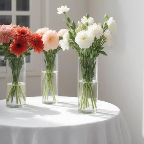10 Pack Glass Cylinder Vases, 8 Inch Small Clear Cylinder Flower Vase Floating Candle Holders Glass Vases for Centerpiece Table Party Home Wedding