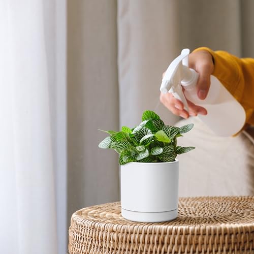 D'vine Dev Set of 4 Small Ceramic Plant Pots, 3.5 Inch Succulent Planter Pot for Plants with Drainage Hole and Saucer, White, 94-X-A-1 - color: White, size: 3.5 Inch