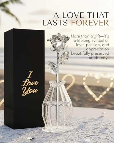 Forever Rose Bloom Box & Phantom Vase Combo, Silver Dipped Rose in a Personalized Gift Box That Says I Love You Embossed in Gold Foil, Unique & Everlasting Gift for Any Occasion - color: "I Love You" Silver Rose Dipped Rose (Phantom Vase & Bloom Box)