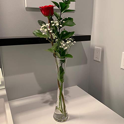WGV Maria Bud Vase, Width 2", Height 10", Clear Slant Cut Opening Gathering Concaved Glass Floral Container Centerpiece for Wedding Party Event Home Office Decor, 1 Piece - size: 2"x10"H Maria
