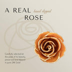 Forever Rose Hand-Dipped in 24K Gold, Golden Topaz-Inspired November Birthstone with Sparkles, Real Rose in Gold Gift Box & Clear Glass Bud Vase, Perfect Ready for November Birthday or Any Occasion - color: November Topaz