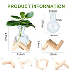 Propagation Stations, Propagation vases with Wooden Stand, Small Tabletop Glass Bulb Vases for Hydroponics Plant Propagation Station Home Office Decoration, Gift for Women Plant Lovers (2)