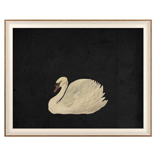 VIYYIEA Framed Wall Art for Living Room, Animal-【Zwaan】, 20L x 16W - color: Animal-【Zwaan】, size: 20"L x 16"W