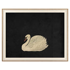 VIYYIEA Framed Wall Art for Living Room, Animal-【Zwaan】, 20L x 16W - color: Animal-【Zwaan】, size: 20"L x 16"W