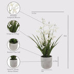 CG Hunter Faux Vanda Orchid Plant, Premium Artificial Indoor Flower Display Stands 26”, Beautiful Sculptural Blooms that Lasts Forever, White Planter Pot Included - size: 26" Vanda Orchid